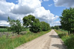 Bergmolchwanderweg_WalkYourDog-11