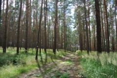 Bergmolchwanderweg_WalkYourDog-12