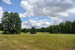 Bergmolchwanderweg_WalkYourDog-5