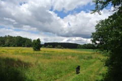 Bergmolchwanderweg_WalkYourDog-7
