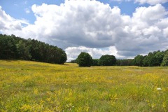 Bergmolchwanderweg_WalkYourDog-8