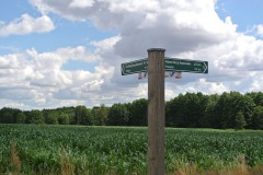 Bergmolchwanderweg_WalkYourDog-9