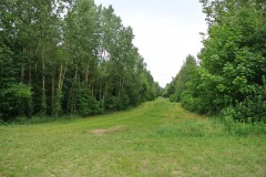 Blankenfelder-Forst-WalkYourDog-6