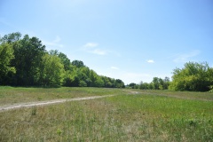 Blankenfelder-Wiesen-WalkYourDog-1