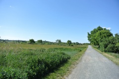 Blankenfelder-Wiesen-WalkYourDog-2