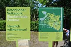 Botanische-Volkspark-Blankenfelde-Pankow-WalkYourDog-1