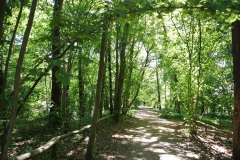 Botanische-Volkspark-Blankenfelde-Pankow-WalkYourDog-10