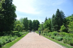 Botanische-Volkspark-Blankenfelde-Pankow-WalkYourDog-2