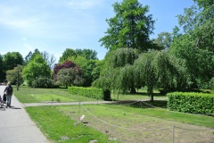 Botanische-Volkspark-Blankenfelde-Pankow-WalkYourDog-3