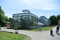 Botanische-Volkspark-Blankenfelde-Pankow-WalkYourDog-4