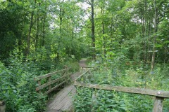 Bucher-Forst-WalkYourDog-4