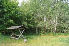Bucher-Forst-WalkYourDog-5