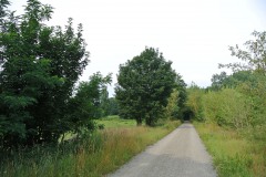 Bucher-Forst-WalkYourDog-6