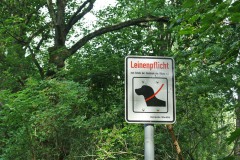 Bucher-Forst-WalkYourDog-7