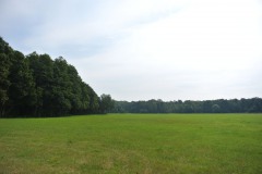 Bucher-Forst-WalkYourDog-8