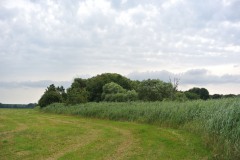 Bucher-Forst-WalkYourDog-9