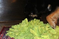 DIY-Schnüffelteppich-WalkyourDog-7