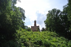 Dueppeler-Forst-WalkYourDog-7
