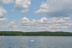 Dueppeler-Forst-WalkYourDog-8