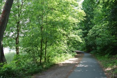 Dueppeler-Forst-WalkYourDog-9
