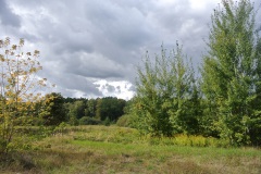 Eichwerder-Moorwiesen-WalkYourDog-3