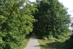 Eichwerder-Moorwiesen-WalkYourDog-5