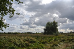 Eichwerder-Moorwiesen-WalkYourDog-6