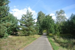 Eichwerder-Moorwiesen-WalkYourDog-7