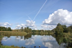 Eichwerder-Moorwiesen-WalkYourDog-9