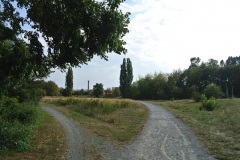 Falkenberger-Krugwiesen-WalkYourDog-3