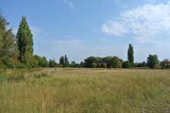 Falkenberger-Krugwiesen-WalkYourDog-4