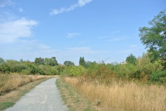 Falkenberger-Krugwiesen-WalkYourDog-5