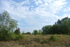 Falkenberger-Krugwiesen-WalkYourDog-6