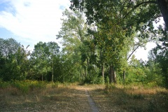 Falkenberger-Krugwiesen-WalkYourDog-7