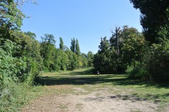 Fritz-Schloss-Park-WalkYourDog-1