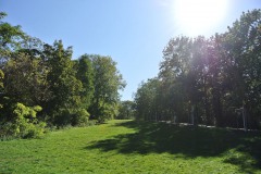 Fritz-Schloss-Park-WalkYourDog-3