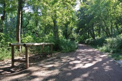 Fritz-Schloss-Park-WalkYourDog-5