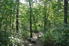 Fritz-Schloss-Park-WalkYourDog-7