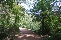 Fritz-Schloss-Park-WalkYourDog-8