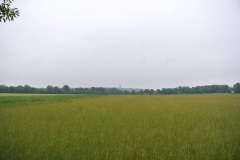 Gatower-Heide-WalkYourDog-1