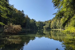 Gipfelstürmer-walkyourdog-7-Kopie