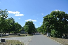 Görlitzer-Park-WalkYourDog-2