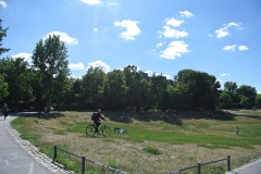 Görlitzer-Park-WalkYourDog-7
