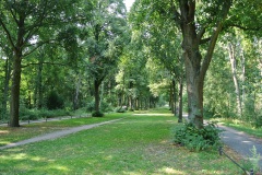 Großer-Tiergarten-WalkYourDog-2