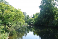 Großer-Tiergarten-WalkYourDog-3