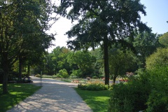 Großer-Tiergarten-WalkYourDog-4