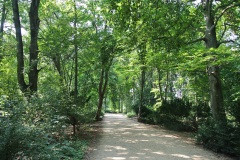 Großer-Tiergarten-WalkYourDog-5