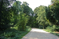 Großer-Tiergarten-WalkYourDog-6