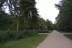 Großer-Tiergarten-WalkYourDog-7