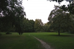 Großer-Tiergarten-WalkYourDog-9